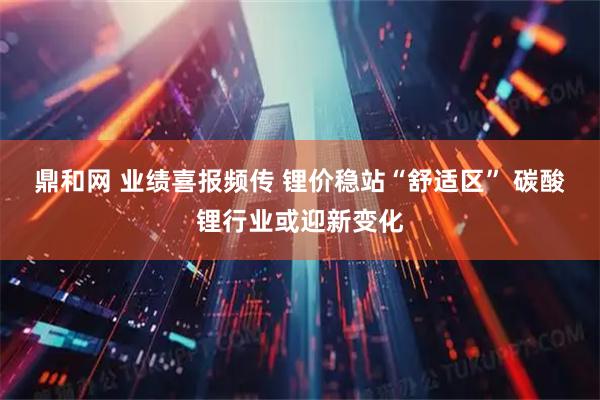 鼎和网 业绩喜报频传 锂价稳站“舒适区” 碳酸锂行业或迎新变化