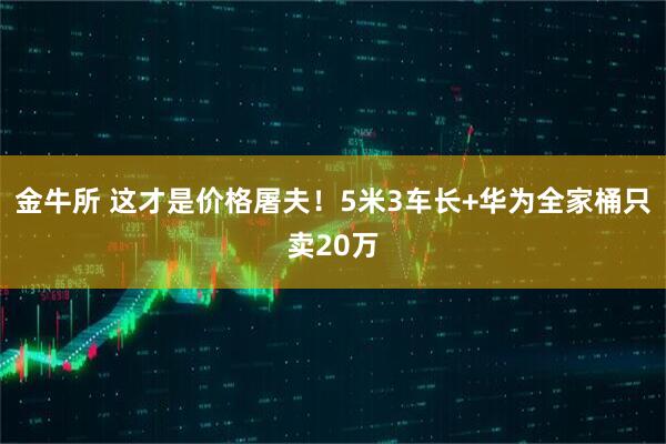 金牛所 这才是价格屠夫！5米3车长+华为全家桶只卖20万