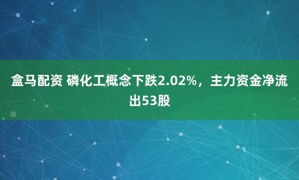 盒马配资 磷化工概念下跌2.02%，主力资金净流出53股
