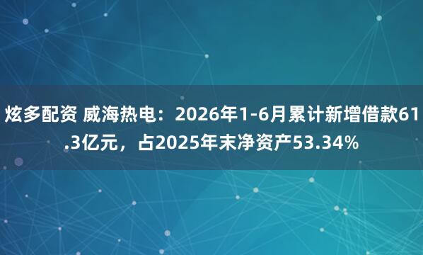 炫多配资 威海热电：2026年1-6月累计新增借款61.3亿元，占2025年末净资产53.34%