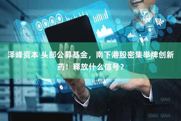 泽峰资本 头部公募基金,南下港股密集举牌创新药!释放什么信号?